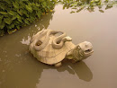 蛇龟池