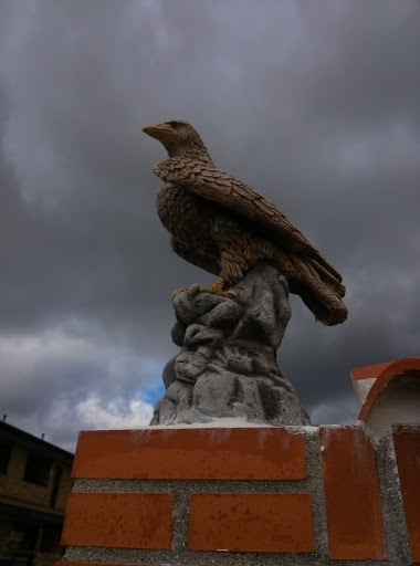 Aguila Revientaranas