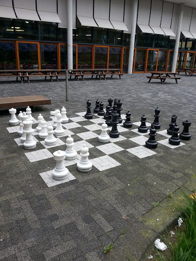 Public Chess Board