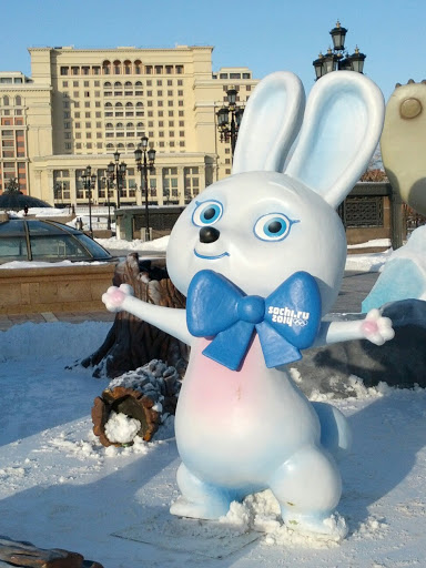Olympics Rabbit