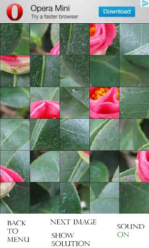 【免費解謎App】Photo Puzzle - Flowers (free)-APP點子