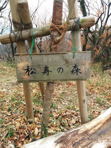 松寿の森(六甲山)