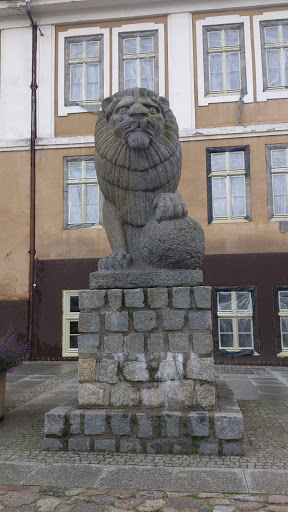 Lew przed Ratuszem