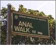 Anal Walk in London