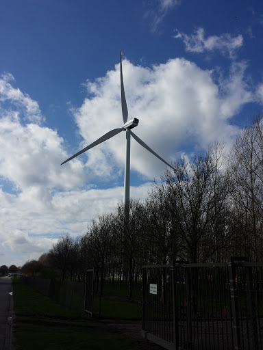 The Big Windmill of Mijdrecht