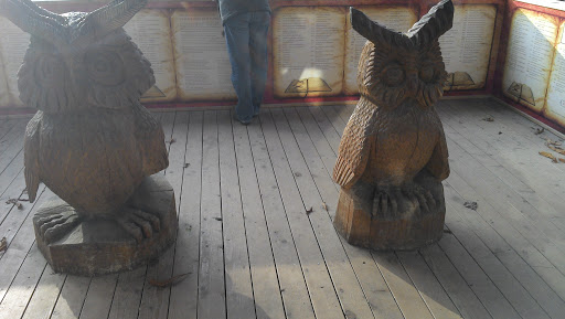 The Wooden Owls