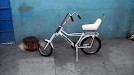 Bicicleta Vagabundos Originales 100