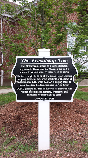 The Friendship Tree