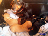 Vendo Espectaculares Perros Salchichasteckel