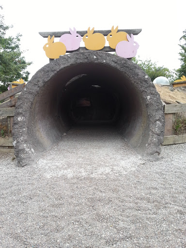 Rabbit Tunnel