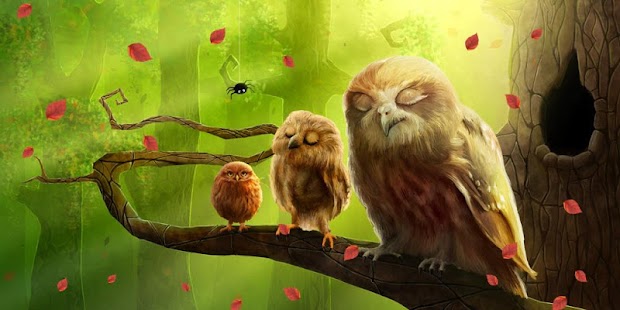How to get Owls Live Wallpaper Trial patch 1.0.1.1 apk for pc