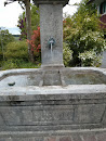 Brunnen mit Blume 1866