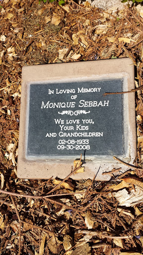 In Loving Memory Monique Sebbah