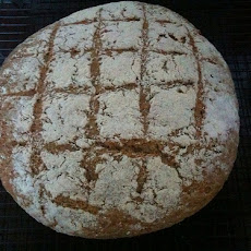 Caraway Rye Bread