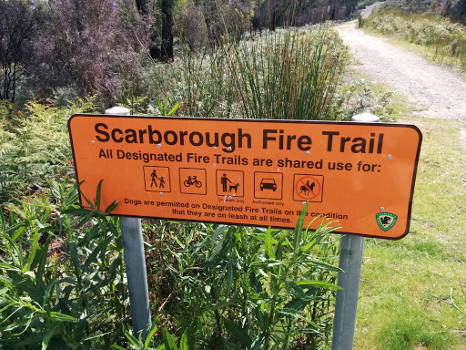 Scarborough Fire Trail