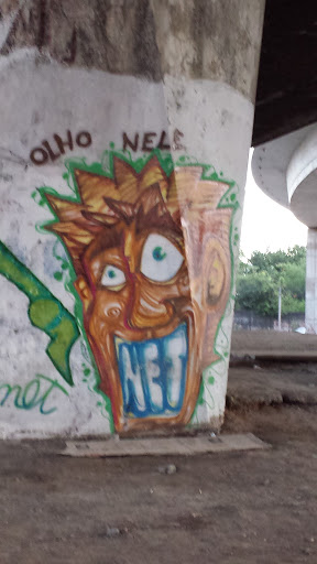 Graffiti Net Embaixo Do Viaduto