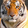animalria360