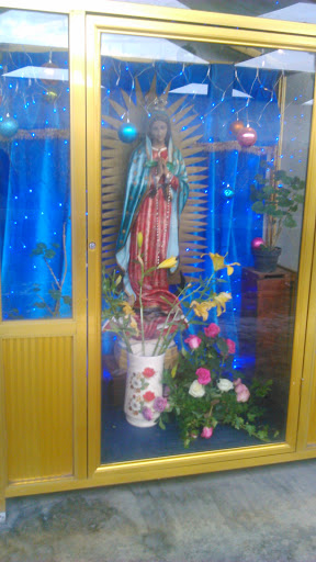 Altar Virgen De Guadalupe Terminal De Autobuses Toluca 