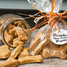 Pumpkin Dog Biscuits
