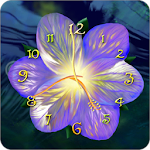 Serene flower clock HD widget Apk