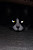 User profile picture thumbnail