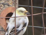 Spotting Image 1