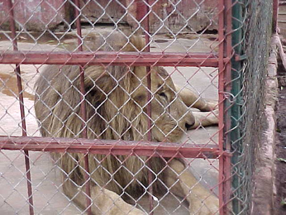 Spotting Image 1