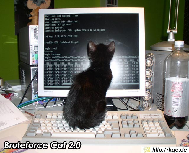 [hacker_cat[4].jpg]