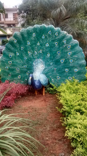 Peacock Park 