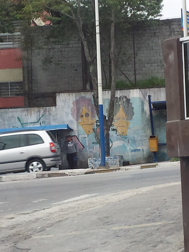 Grafite Brothers