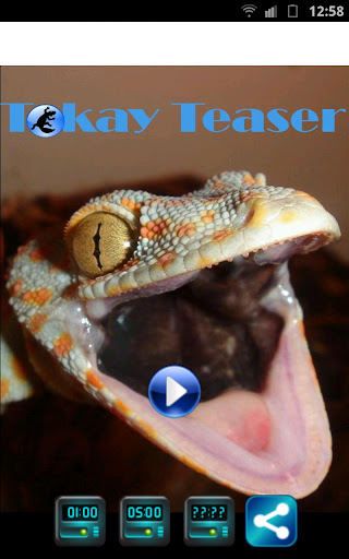 Tokay Teaser Practical Joke