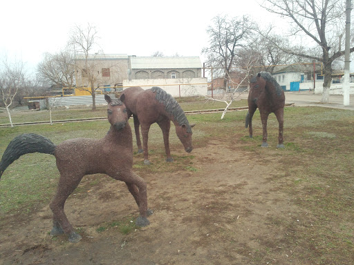 Лошади на Майдане