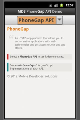 PhoneGap API Demo by MDS