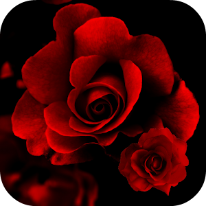 Roses Live Wallpaper.apk 1.0