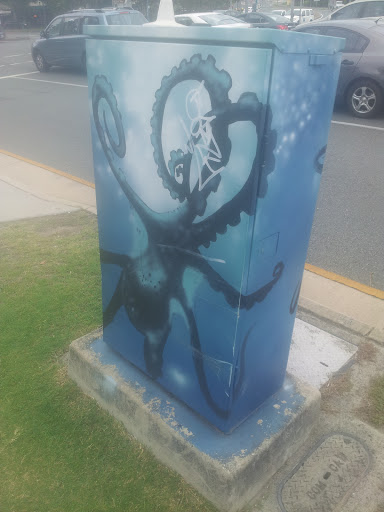 Octopus Mural Control Box