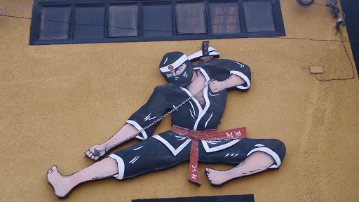 Zo Kai Ninja