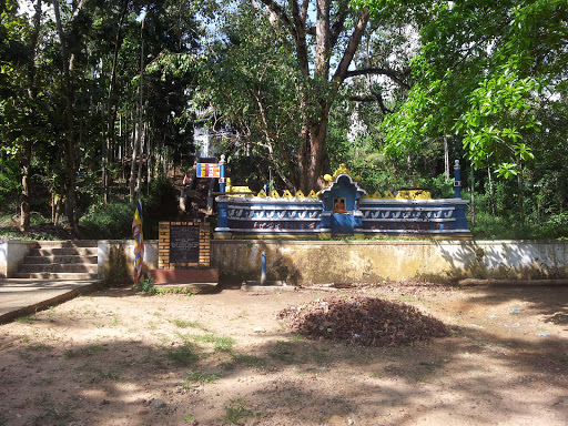 Bo Tree and Buddha Statue Madampe 