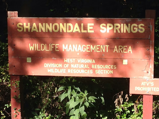 Shannondale springs