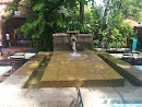Water Feature 