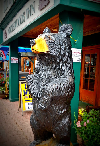 Northwoods Bear 