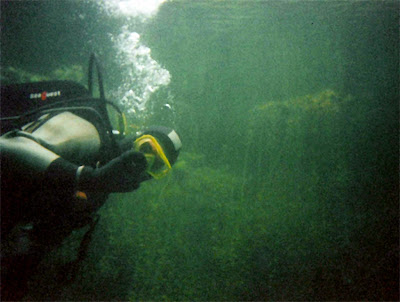 Gregor in der südlichen Bucht