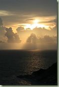 IMG_0835 (Medium)
