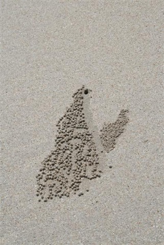 [IMG_0093Medium1.jpg]