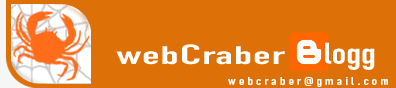 webCraber — Услуги в области интернет решений