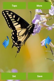How to download Butterflies Wallpapers 2.0.0 apk for android