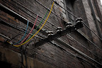 IMG_1698.jpg