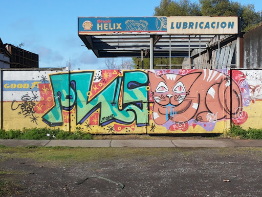 Graffiti Gato