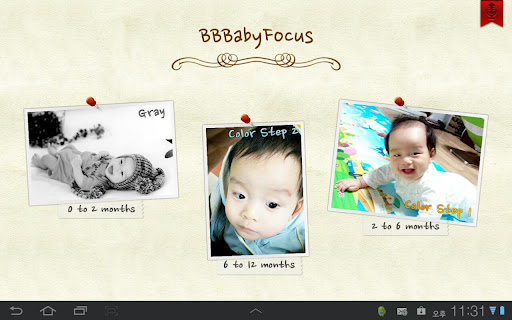 BBBaby Focus