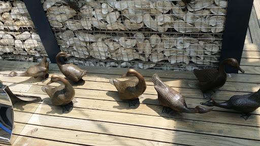 Ducks Statues