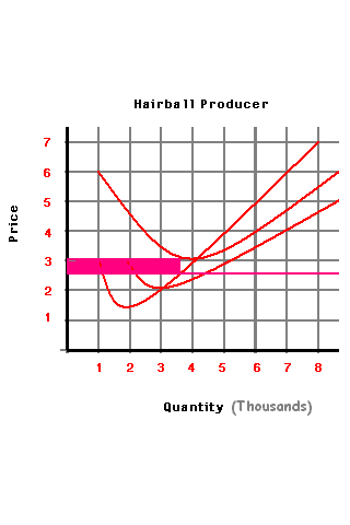 Economics Review